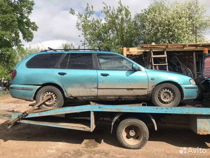 Крышка дверь багажника Nissan Primera p11