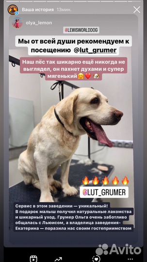 Лютый грумер симферополь