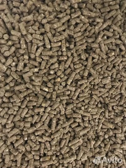 Пурина для кур несушек