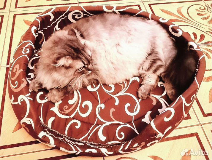 Лежанка для животных