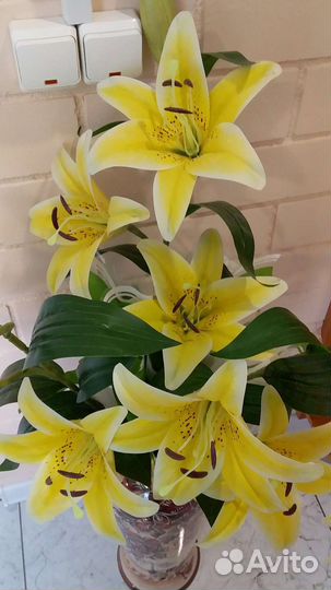 Искусственные лилии