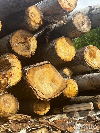 Лес круглый осина