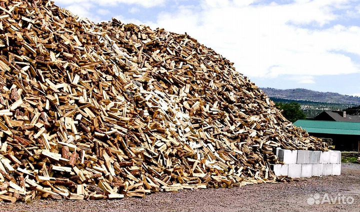 Кора березы