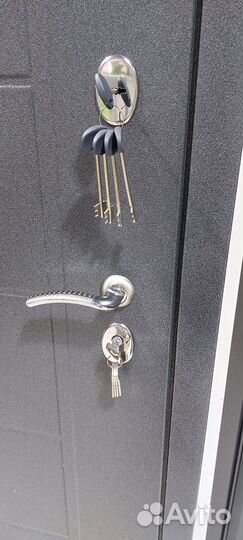Дверь входная металлическая с зеркалом