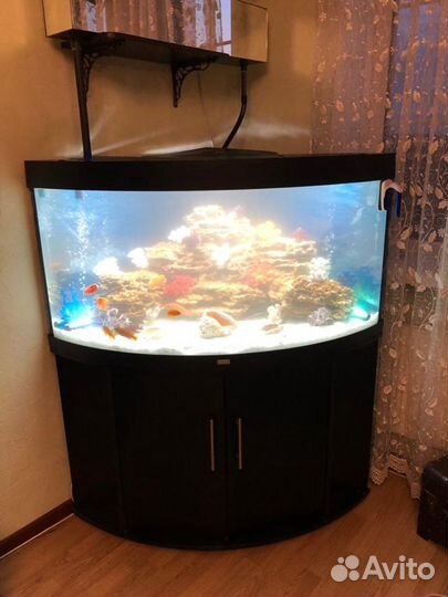 Аквариумы, Пруды обслуживание