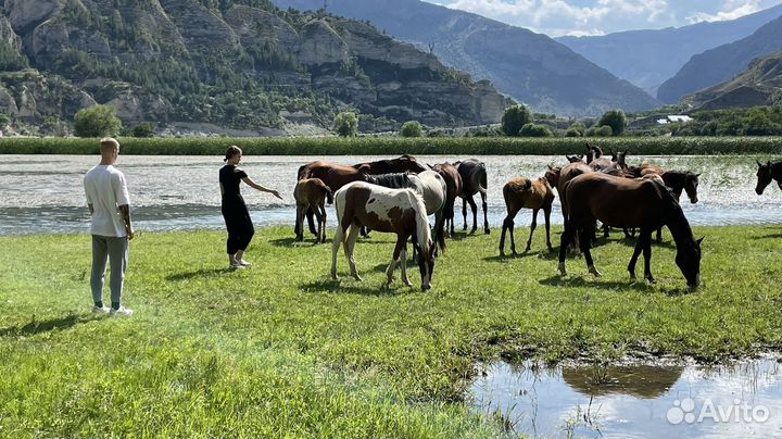 Тур-экскурсии по Дагестану