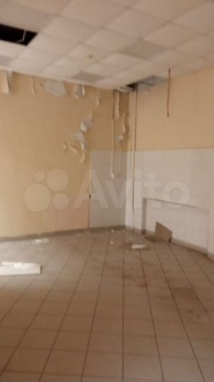 Торговая площадь 546,6 м²