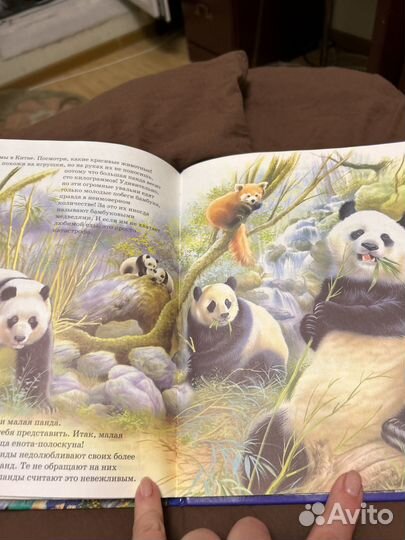 Книга для детей