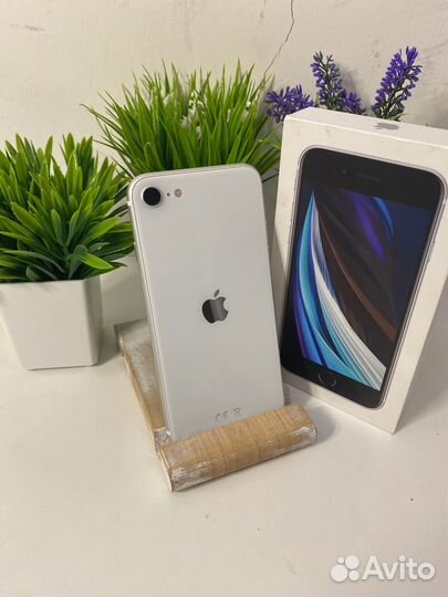 iPhone SE (2020), 64 ГБ