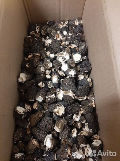 Сморчки сушеные оптом