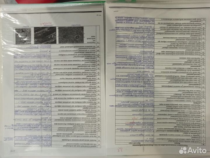 Учебные конспекты