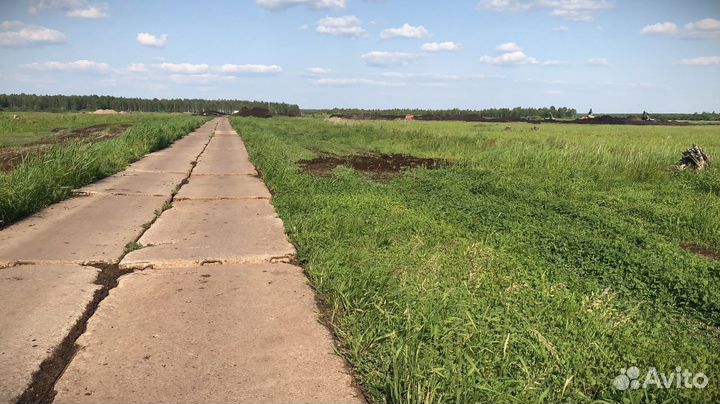 Грунт