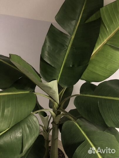 Искусственное дерево бу