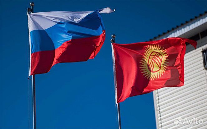 Юридическая помощь при выдворении