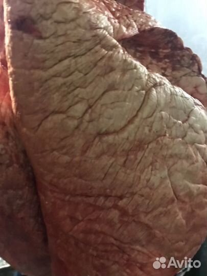 Косточки, обрезы, легкие для собак