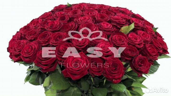 Букеты Цветы Розы 25 101 501 1001