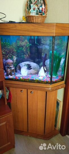 Аквариум