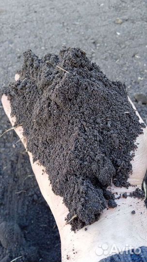 Чёрный земли хорошего