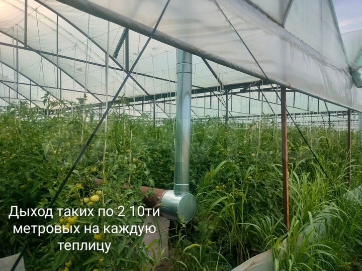 Участок 25 сот. (ИЖС)