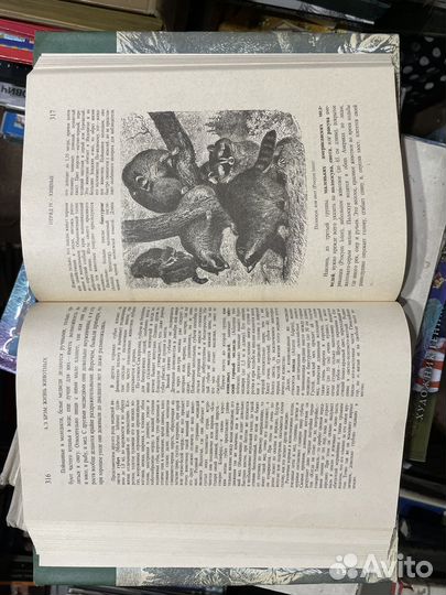 А.Э. Брэм. Жизнь животных. Комплект из 3 томов