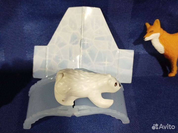 Животные Севера