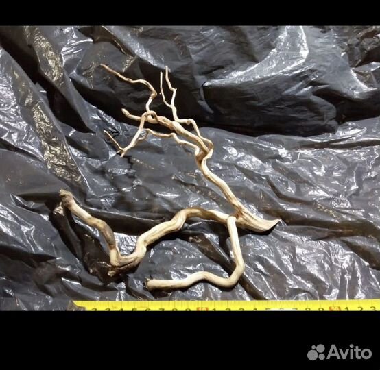 Коряги для аквариума