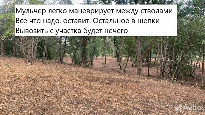 Расчистка участков от кустарников спецтехникой