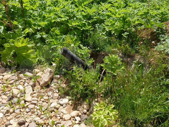 Участок 11,4 сот. (СНТ, ДНП)