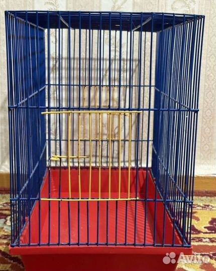 Крыски Сфинкс