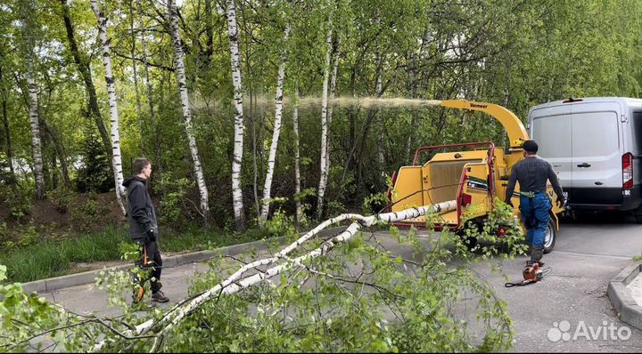 Измельчитель веток аренда