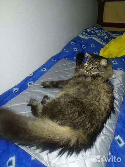 Лежанка для собак и кошек