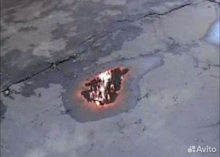 Помогите спасти бездомных серых котят