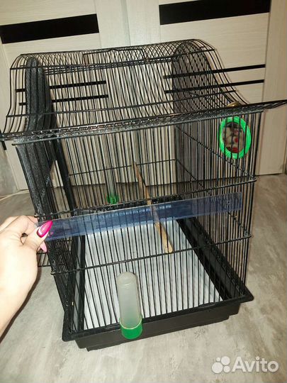 Клетка для попугая