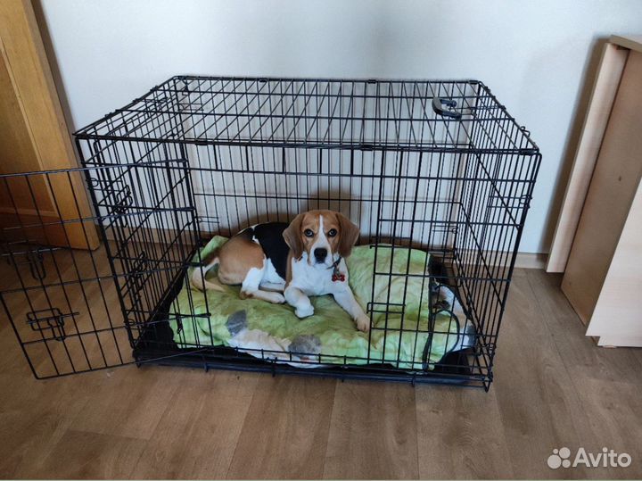 Клетка любого размера доставка в Керчь