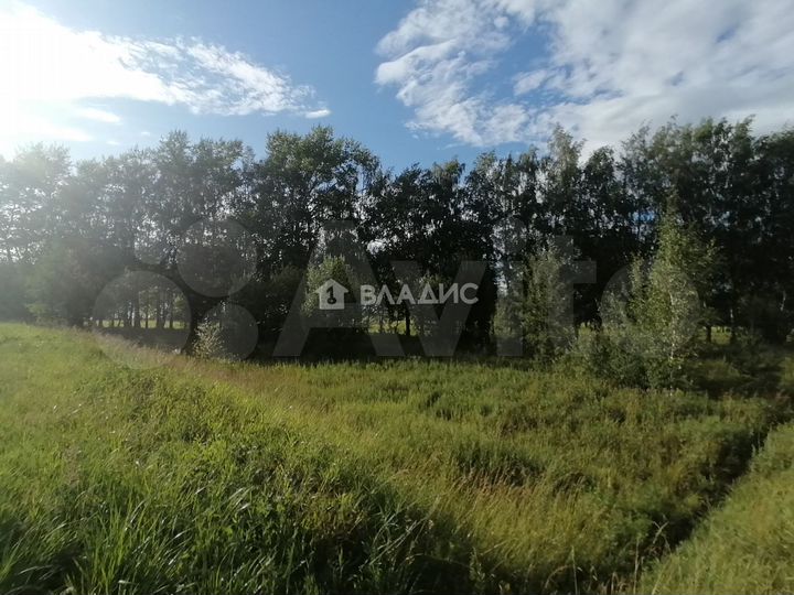 Участок 1,14 га (ИЖС)