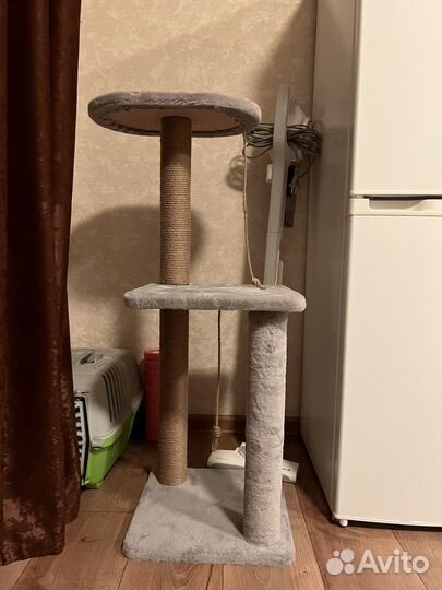 Когтеточка