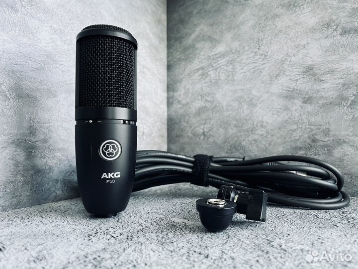 AKG P120