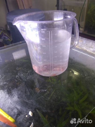 Корма для поднятия малька