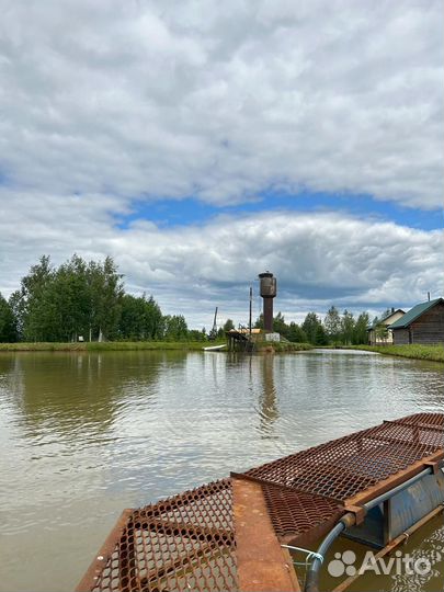 Рыбалка.отдых на природе