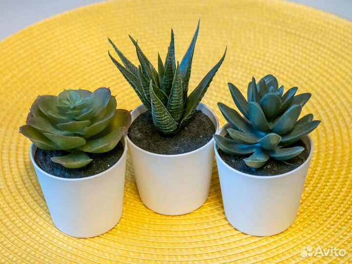 Искусственные суккуленты ikeа fejkа