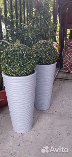 Комплект, кашпо+круглый куст дооговечные