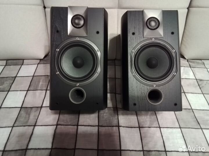 Focal chorus 605