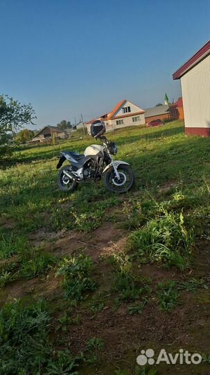 Стелс флекс 250