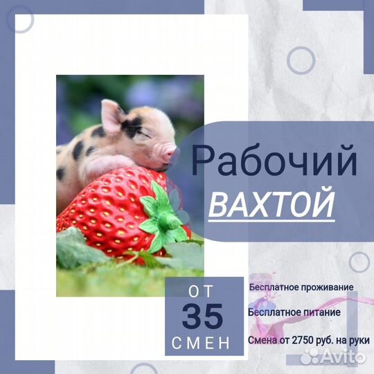 Рабочий на вахту Воронежская обл с проживанием