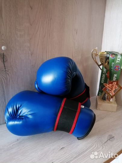 Перчатки для кикбоксинга и тхэквондо