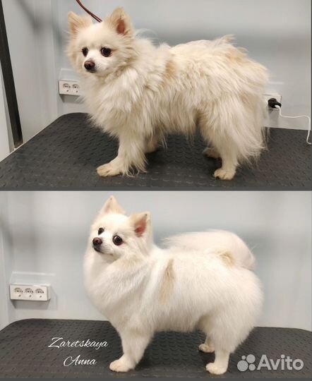 Груминг, тримминг