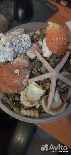 Аквариум с грунтом