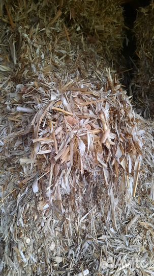 Сено в квадратных тюках