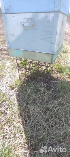 Улья дадан и подставки