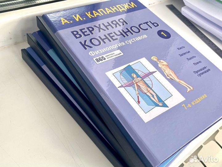 Физиология суставов/Функциональная анатомия